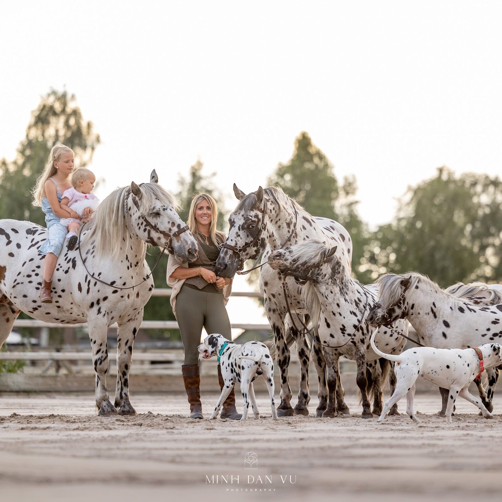 Greetje met haar gezin en de gevlekte paarden van de Heart Stud