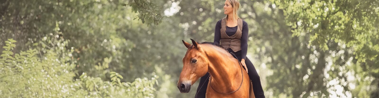 Practical lesson in the outdoor arena of Human & Horse Academy